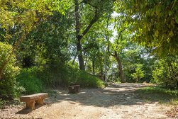 香里ヶ丘東公園