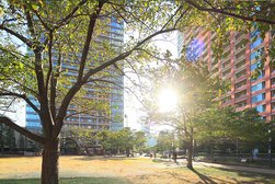 プラタナス公園