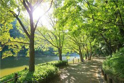 都筑中央公園|徒歩約2分/約140m