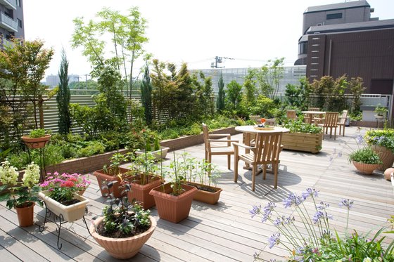 グッドタイム リビング 亀戸 (大和証券グループ)