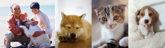 ハーウィル大宮土呂