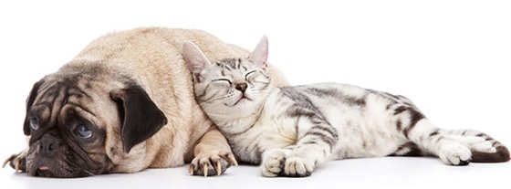 ハーウィル栗橋