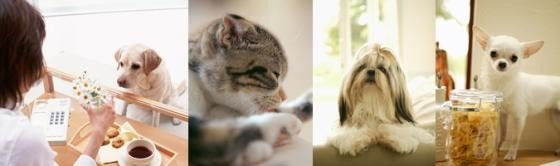 ハーウィル北越谷