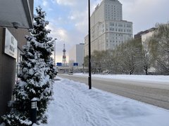 大雪の前の札幌