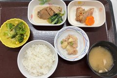 今日の食事