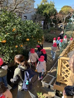 みかんの呼び名が・・・