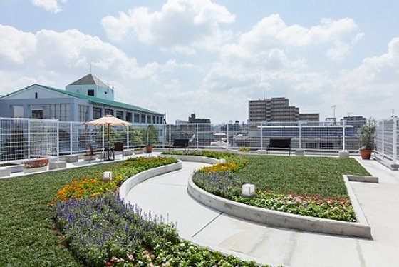 ドーミーときわ台