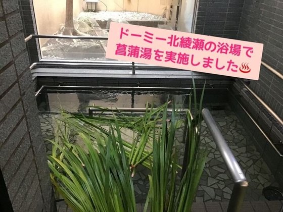 ドーミー北綾瀬