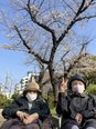 お花見🌸