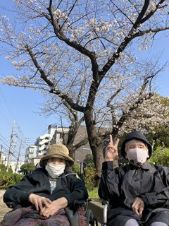 お花見🌸
