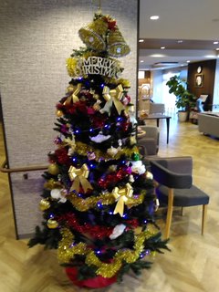 本日12月24日はクリスマスイブです🎅