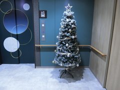 クリスマス🎄🎅🏼