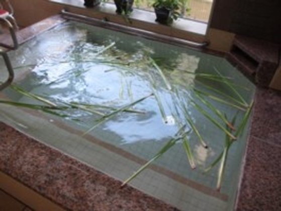 ラ・ナシカうえだ