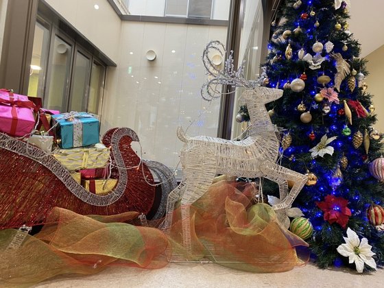 ラ・ナシカこくら