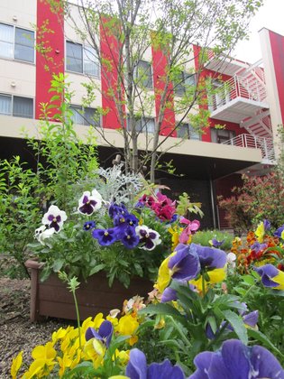 ラ・ナシカこくら