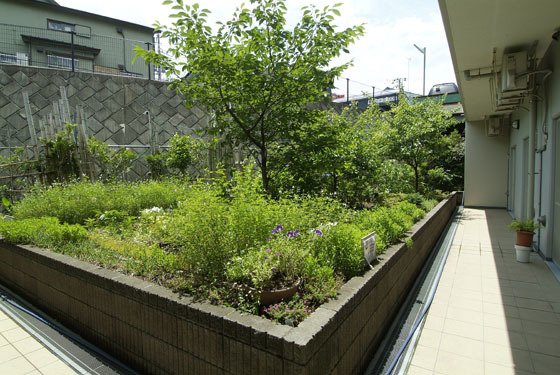 アズハイム横浜上大岡