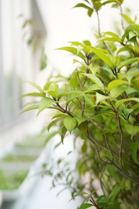 介護付有料老人ホームうらら一之江