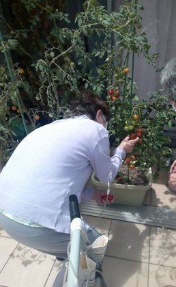 有料老人ホームきらら川崎小倉