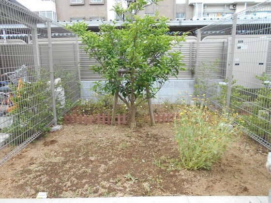 グループホームきらら清新町