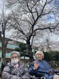 お花見ツアー