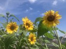 グループホームきらら板橋徳丸