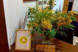 ミモザの黄色に包まれて💐国際女性デー
