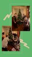 クリスマスツリーを設置しました✨🎄
