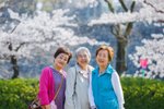 ラビアンローズ高槻
