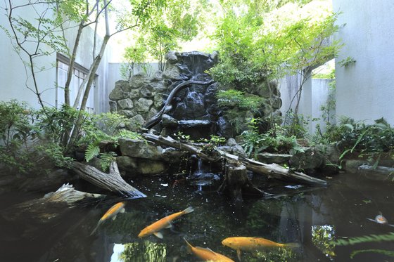 ラビアンローズ高槻