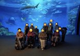🐳 青い海の世界へ!須磨シーワールドツアーを開催 ✨