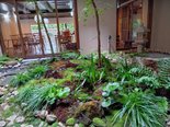 四季を感じる、嵐山の中庭時間🍃