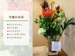 季節の花が迎える心豊かな暮らし💐ロングライフ阿倍野のフロントをご紹介