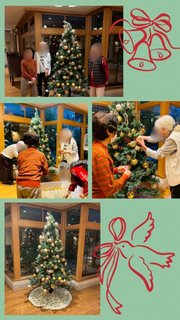 クリスマスツリーを設置しました✨🎄