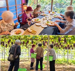 🍇秋の味覚を満喫♪ ぶどう狩り&フレンチランチへ行ってきました🍽️