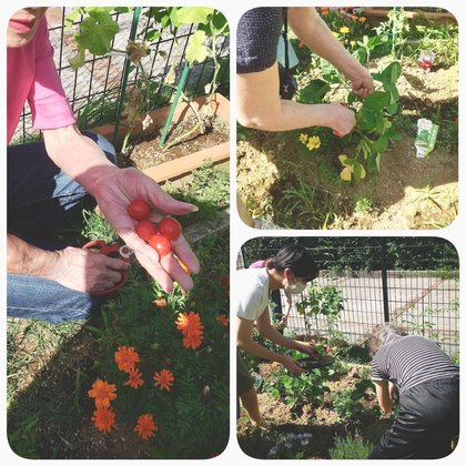 ロングライフ池田山手