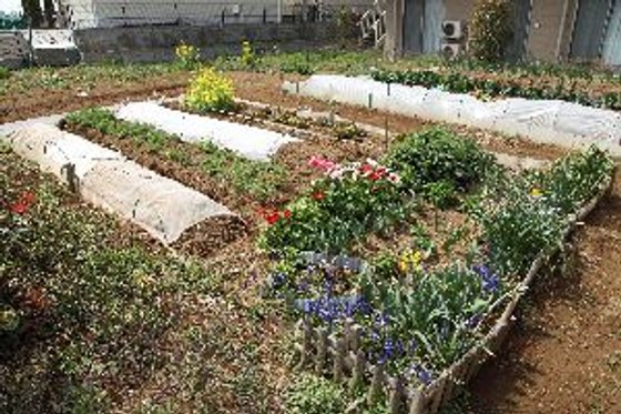 あずみ苑グランデ三咲