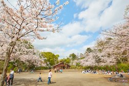 綱島公園(徒歩5分(約390m))
