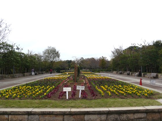 ココファンメゾン鵠沼