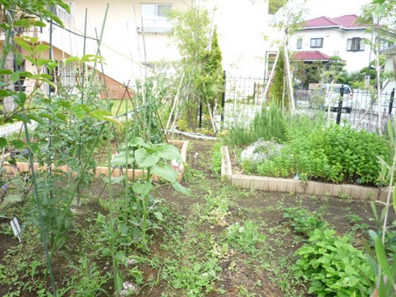 ココファンリビング辻堂