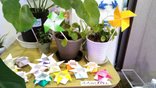 【ココファン湘南】 9月のおりがみの会