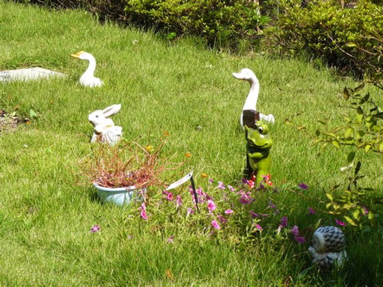 ココファンメディカル藤沢