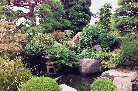 ココファン春日部