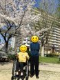 🌸お花見🌸