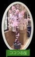 【ココファン鶴橋】桜の木を作りました! R8.3.17