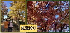 【デイサービス ココファン妹尾】🍂紅葉狩りに行ってきました🍂