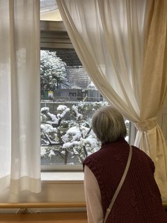 【武蔵新城】雪の日⛄