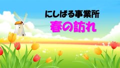 春が近づいてきました🌹