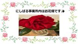 事業内はお花畑✨