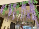 【ココファン新町】藤の花づくり