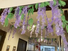 【ココファン新町】藤の花づくり
